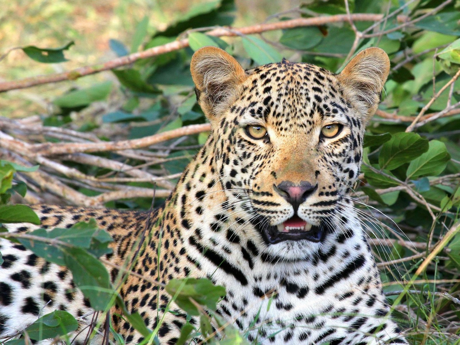 Lake Mburo National Park